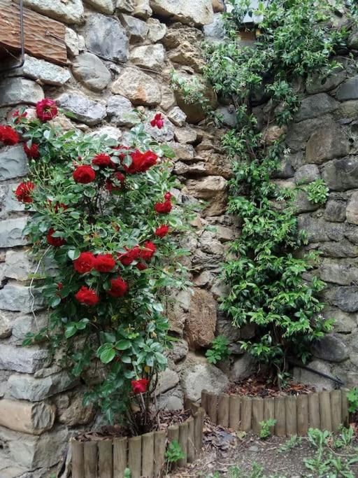 La Borda De Ferienhaus Sesué